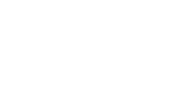 ANTI Street Food